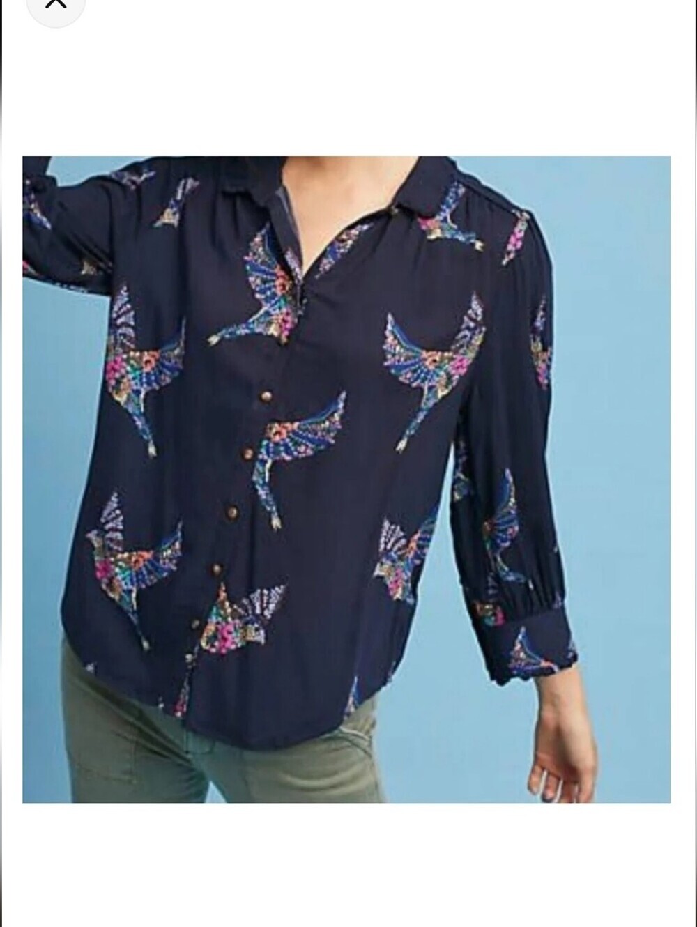 Anthropologie Maeve Aldan Blouse/Top-Navy Blue/Floral Birds-Ruffle Trim-Size XS